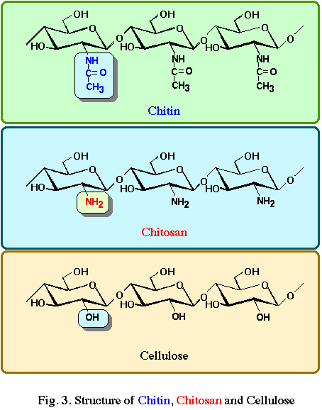 structure of chtin/chitosan